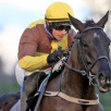Galopin Des Champs 420x200