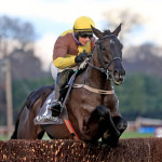 Galopin Des Champs 500x500